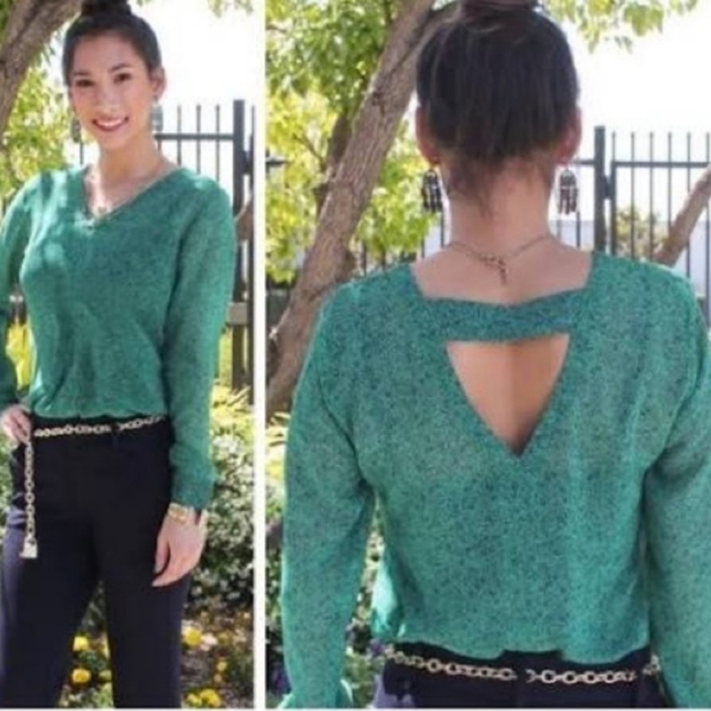 Cabi 5208 green bountiful sheer floral top